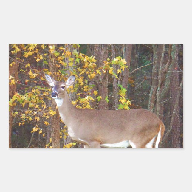 Sticker Rectangulaire Cerf devant l'arbre d'automne jaune (Devant)