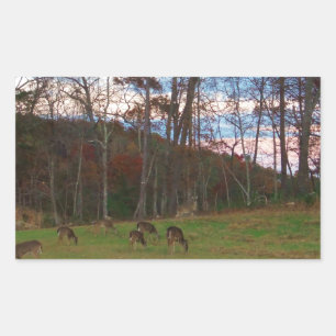 Sticker Rectangulaire Champ de cerf et un SunSet rose