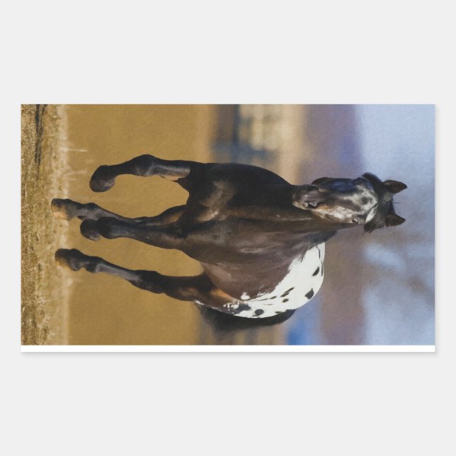 Sticker Rectangulaire Chargeur (Devant)