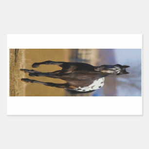 Sticker Rectangulaire Chargeur