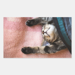 Sticker Rectangulaire Chaton à neige