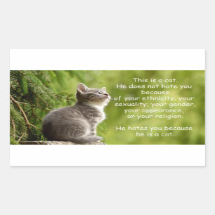 Sticker Rectangulaire Chats