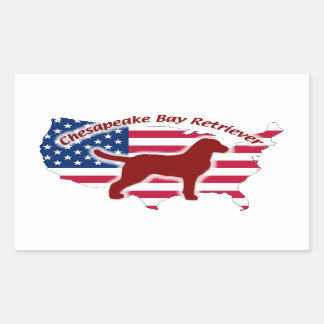 Sticker Rectangulaire Chesapeake Bay Retriever