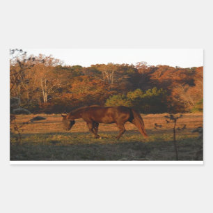 Sticker Rectangulaire Cheval Brown rouge, bois d'automne.