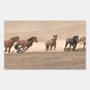 Sticker Rectangulaire Cheval dans l'automne II