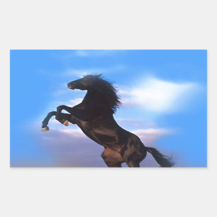 Sticker Rectangulaire Cheval d'élevage