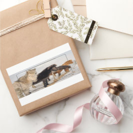 Sticker Rectangulaire Chevaux islandais