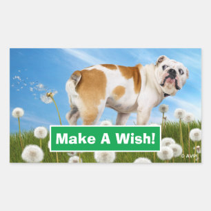 Sticker Rectangulaire Chien avec Dandelion