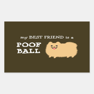 Sticker Rectangulaire Chien de Poméranie   Mon meilleur ami est un ballo