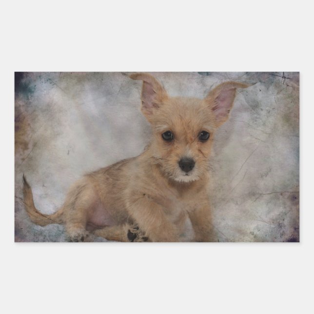 Sticker Rectangulaire Chihuahua/Yorkie Puppy (Devant)