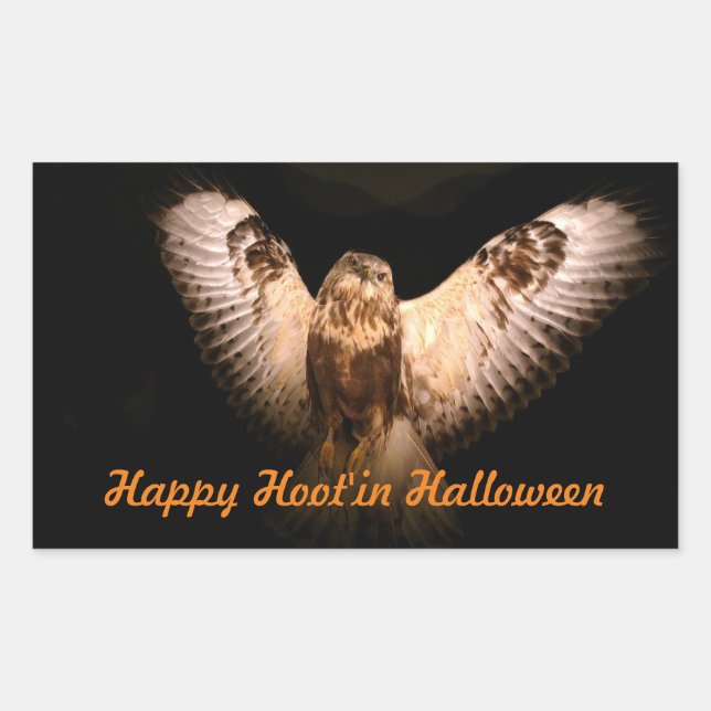 Sticker Rectangulaire Chouette d'Halloween en vol (Devant)