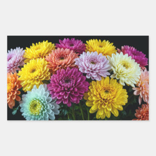 Sticker Rectangulaire Chrysanthème Fleur colorée décoration en fleurs