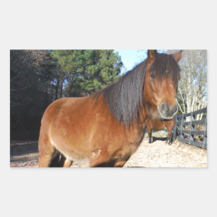 Sticker Rectangulaire Ciel turquoise de poney Brown