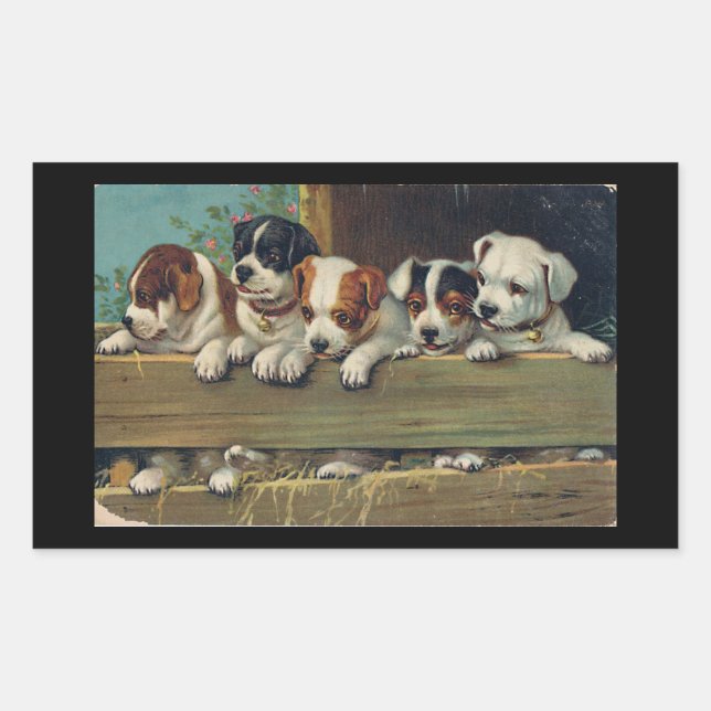 Sticker Rectangulaire Cinq Chiots Beagles (Devant)