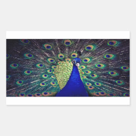 Sticker Rectangulaire Cobalt Blue Peacock