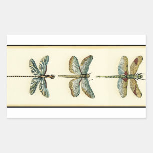 Sticker Rectangulaire Collection de libellules par Chariklia Zarris