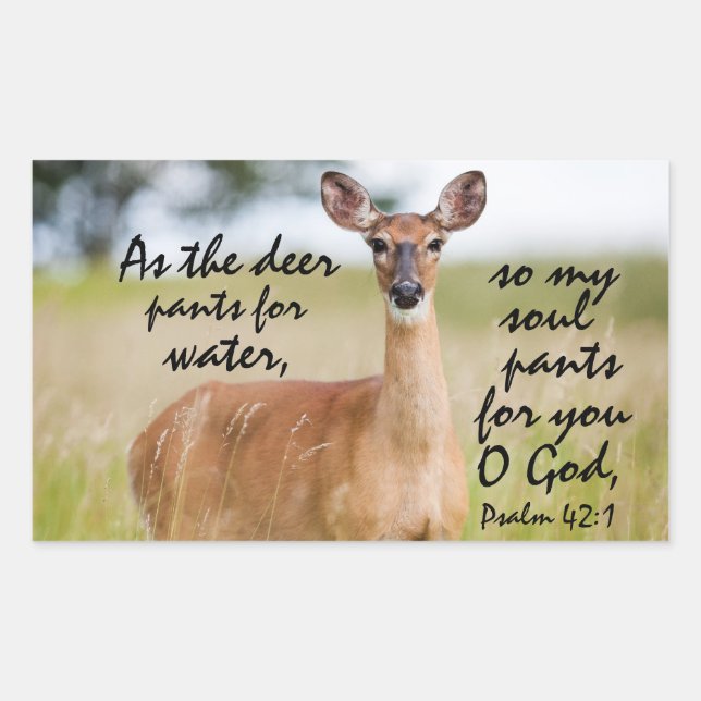Sticker Rectangulaire Comme le pantalon de cerf pour l'eau Bible Verse P (Devant)