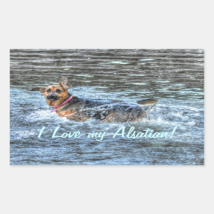 Sticker Rectangulaire Conception de chiens pour les amateurs de moules