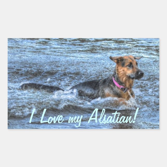 Sticker Rectangulaire Conception de chiens pour les amateurs de moules (Devant)