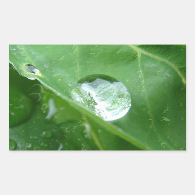 Sticker Rectangulaire Conception de conservation de l'eau de la feuille (Devant)