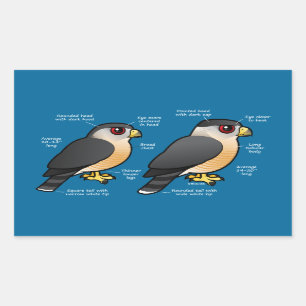 Sticker Rectangulaire Coop v Sharpie