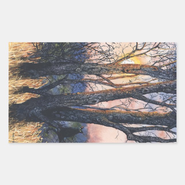 Sticker Rectangulaire Coucher de soleil (Devant)