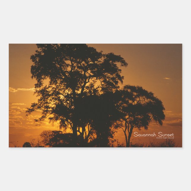 Sticker Rectangulaire Coucher de soleil de Savannah (Devant)