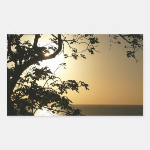 Sticker Rectangulaire Coucher du soleil à travers les arbres II Photogra