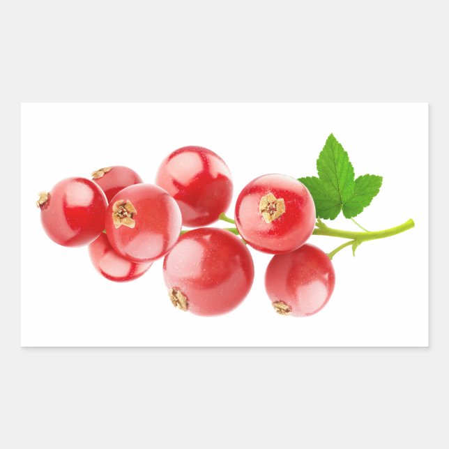 Sticker Rectangulaire Courants rouges (Devant)
