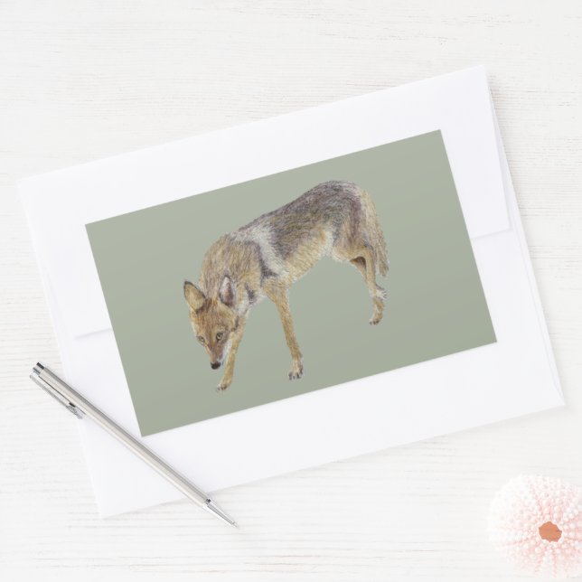 Sticker Rectangulaire Coyote (Enveloppe)