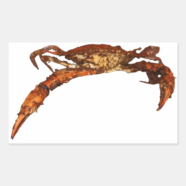 Sticker Rectangulaire Crabe bleu du Maryland (Devant)