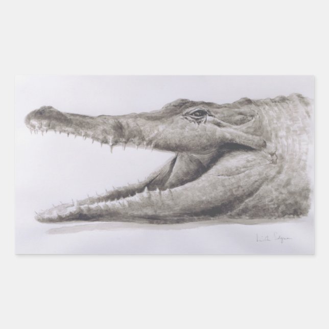 Sticker Rectangulaire Crocodile 2005 (Devant)
