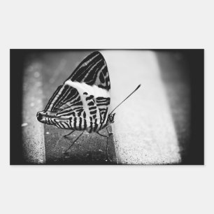 Sticker Rectangulaire croisement de papillon