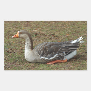Sticker Rectangulaire Croix du cygne gris
