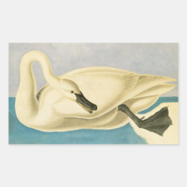 Sticker Rectangulaire Cygne trompette par John James Audubon, Oiseau Vin