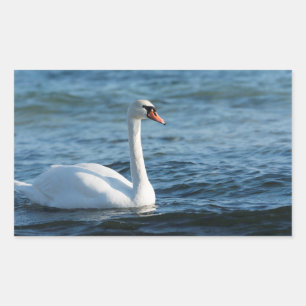 Sticker Rectangulaire Cygnus cygne blanc