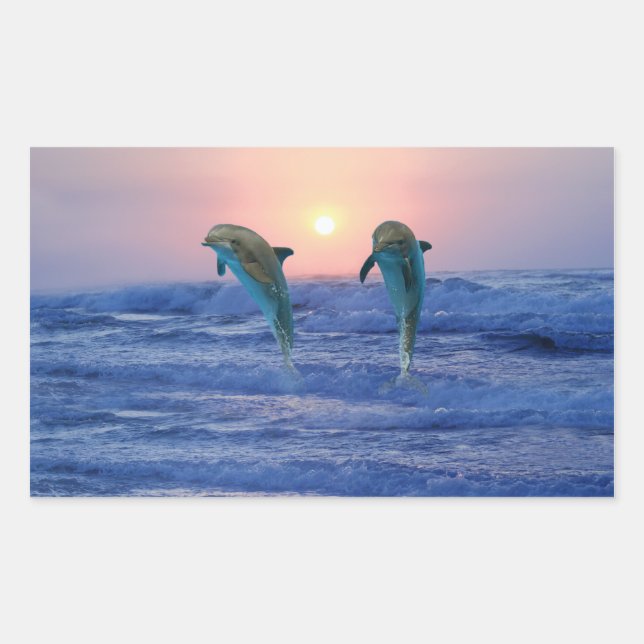 Sticker Rectangulaire Dauphin de verdure au lever du soleil (Devant)