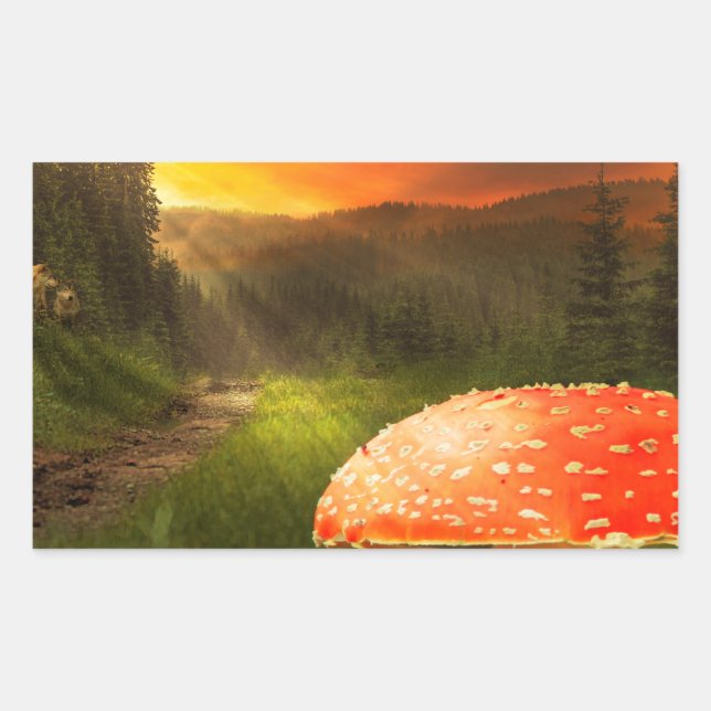 Sticker Rectangulaire Définition du soleil d'automne. (Devant)