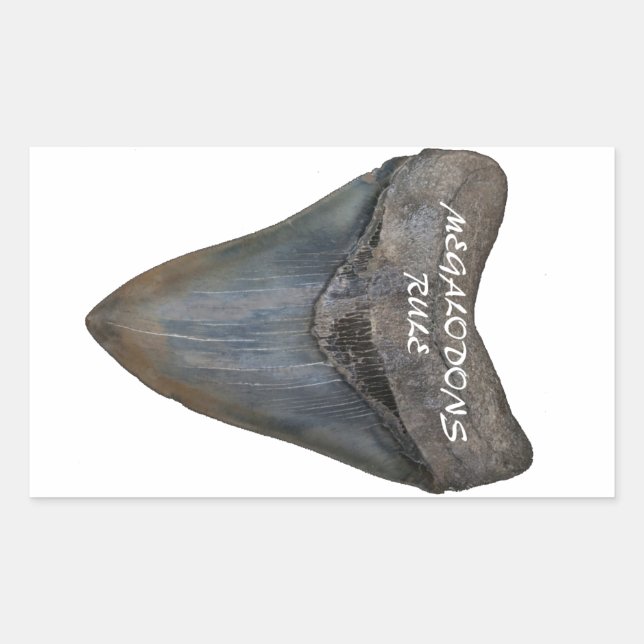 Sticker Rectangulaire Dent de requin Megalodon (Devant)