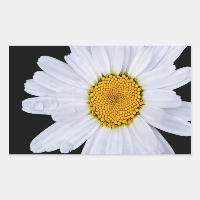Sticker Rectangulaire des (Devant)