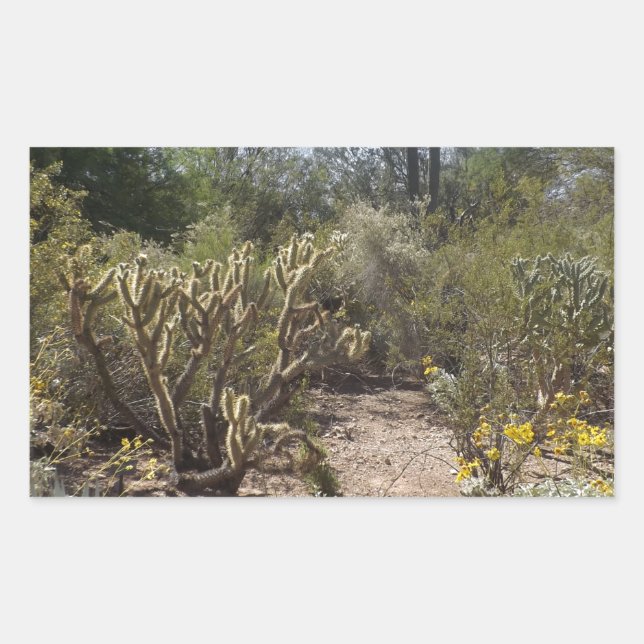 Sticker Rectangulaire Désert (Devant)