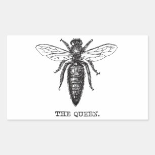Sticker Rectangulaire Dessin classique de l'illustration de Queen Bee