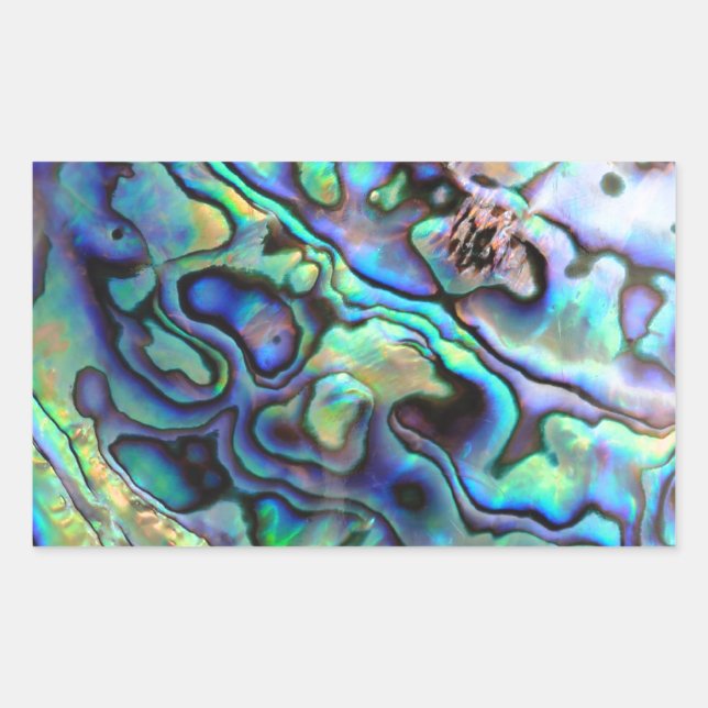 Sticker Rectangulaire Détail de la coquille de Paua (Devant)