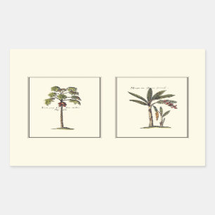 Sticker Rectangulaire Deux palmiers encadrés par miniature