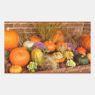 Sticker Rectangulaire Divers citrouilles