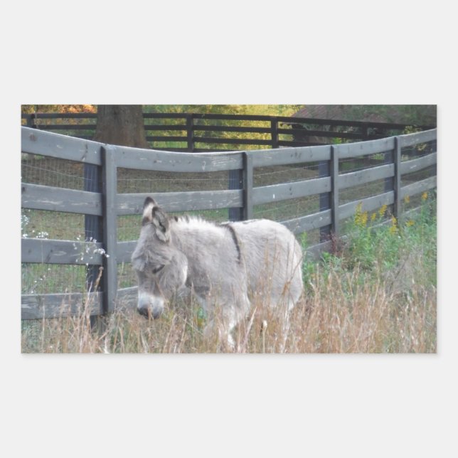 Sticker Rectangulaire Donkey dans un champ d'automne (Devant)