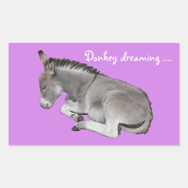 Sticker Rectangulaire Donkey rêver mignon poulain de bébé âne (Devant)