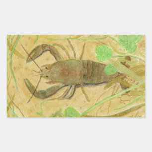 Sticker Rectangulaire Écrepoisson