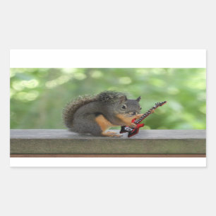 Sticker Rectangulaire Écureuil jouant la guitare électrique