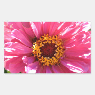 Sticker Rectangulaire Élégant classique floral rose fleur marguerite